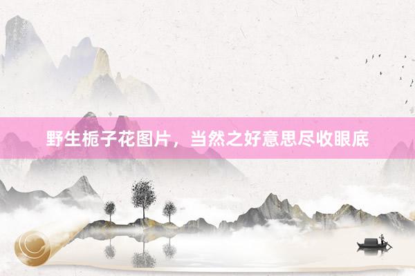 野生栀子花图片，当然之好意思尽收眼底