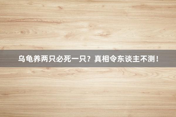 乌龟养两只必死一只？真相令东谈主不测！