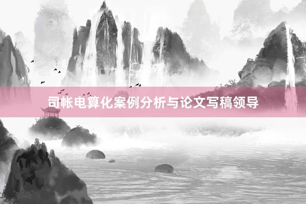 司帐电算化案例分析与论文写稿领导